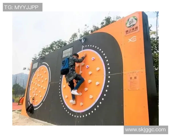 武汉攀岩队的成功运营模式与发展潜力深度解析